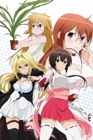 Sekirei: Hajimete no Otsukai